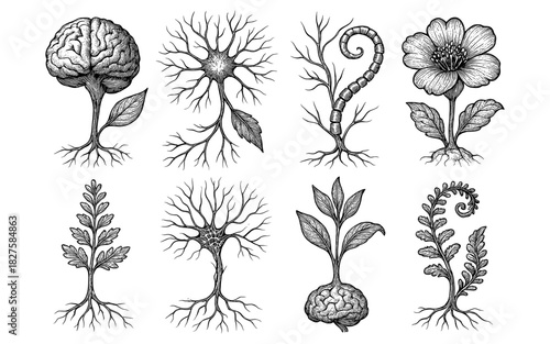 Intricate botanical brain designs merging nature with anatomy in vintage style