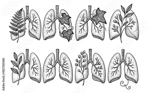 Nature-inspired lungs with botanical elements in detailed black and white art