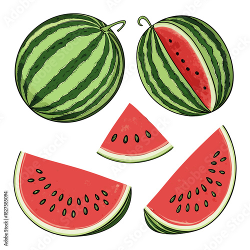 Watermelon Fruit Illustration Set – Colorful Slices, Wedges, and Whole Melons