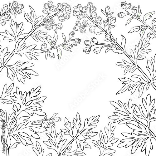 Wormwood Branch with Flowers and Leaves Outline Frame. Vector isolated for design or decoration.