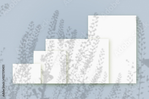 Wallpaper Mural Natural light casts shadows from wildflowers on several sheets of white paper lying on a blue background. Mockup Torontodigital.ca