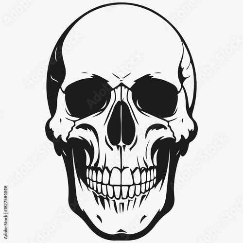 scull sketch illustration vector