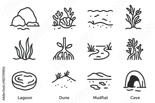 Marine Habitat Icons. Line style icons of marine habitats: rocky shore, coral reef, sandy bottom, tide pool; seagrass bed,