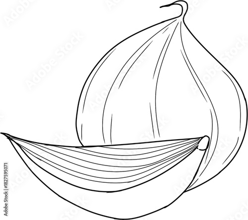 Garlic Bulb Line Art