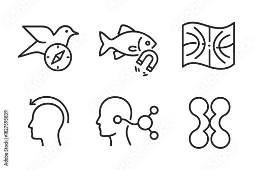 Animal Magnetoreception Icons. Line style icons of Animal Magnetoreception: migratory bird with compass overlay, fish with magneto