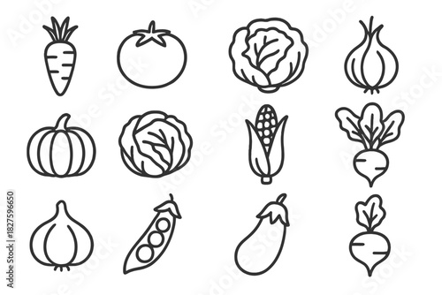 Vegetable Farming Icons. Line style icons of Vegetable Farming: Carrot, Tomato, Lettuce, Onion; Pumpkin, Cabbage, Corn, Radish;