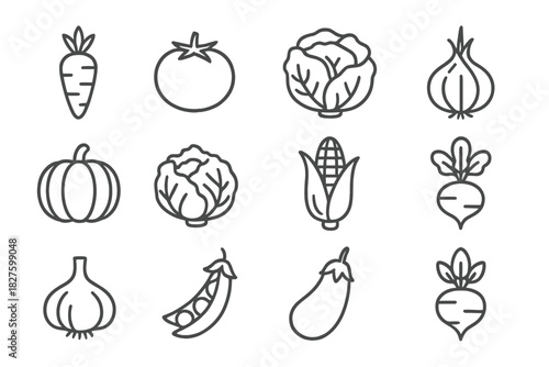 Vegetable Farming Icons. Line style icons of Vegetable Farming: Carrot, Tomato, Lettuce, Onion; Pumpkin, Cabbage, Corn, Radish;