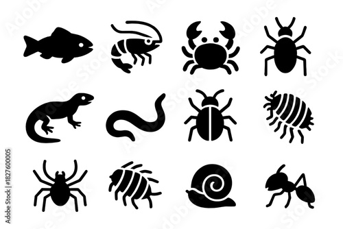 Troglomorphic Creature Icons. Solid style icons of Troglomorphic Creatures: Eyeless Fish, Transparent Shrimp, White Crab, Wingless
