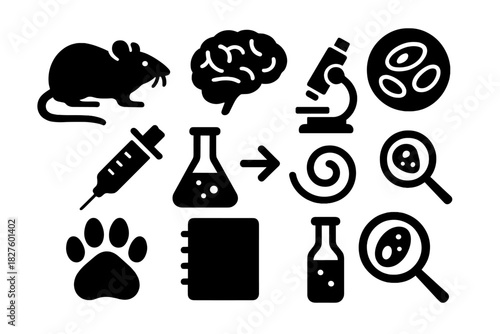 Rodent Research Icons. Solid style icons of Toxoplasma gondii studies in rodents: rat, brain, microscope, parasite cyst, syringe,