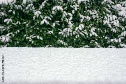 Snow-covered ground with a hedge in the background