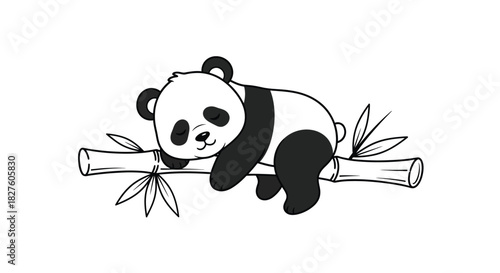 Cute Sleeping Panda on Bamboo Hand-Drawn Doodle