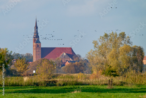 St. Stephan Kirche (Tangermünde) im Herbst