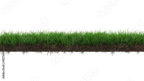 A vibrant green grass strip with visible soil and roots underneath, presented against a solid background, ready for use in design. background removed