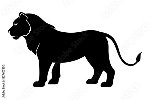 lion silhouette vector, lion  black symbol
