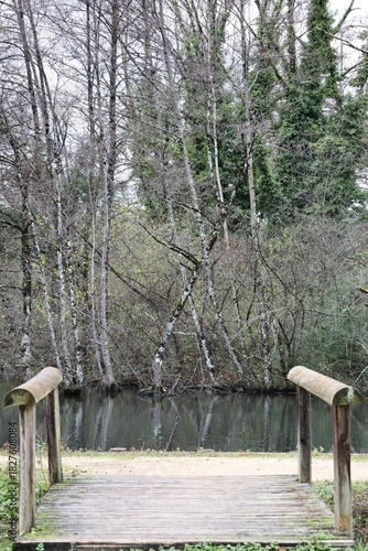 Petit pont en bois au bord d’une rivière dans une forêt en hiver