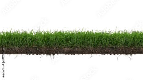 A vibrant green grass strip with exposed rich brown soil and intricate roots, perfect as a transparent design element. background removed