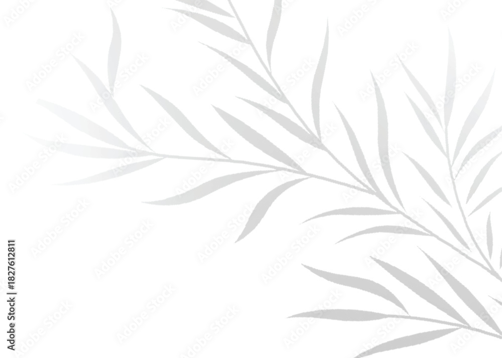 Fototapeta premium High-Resolution Transparent PNG Leaf Shadow Vector Effect Olive for Elegant Mockups and Photorealistic Design Enhancements