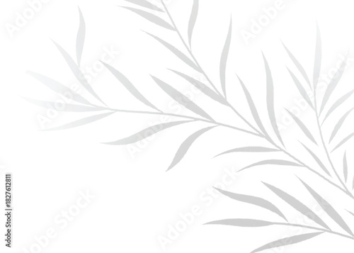 High-Resolution Transparent PNG Leaf Shadow Vector Effect Olive for Elegant Mockups and Photorealistic Design Enhancements