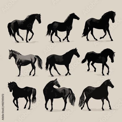 Hand drawn horse silhouette set in vector style.