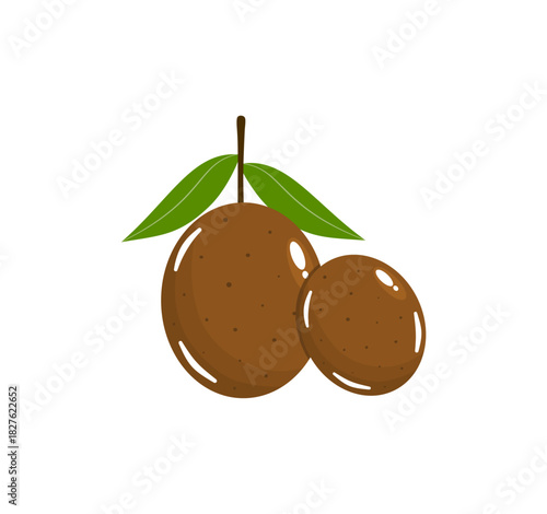Two Ripe Sawo (Sapodilla) Fruits Vector Art with Natural Brown Tones for Healthy Tropical Themes