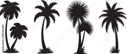 Four Silhouettes of Palm Trees on a White Background Keywords: palm tree, silhouette, tropical, tree