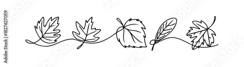 Seamless line art composition of five distinct autumn leaves connected by a flowing line, perfect for seasonal invitations, graphic projects, or naturethemed decor.