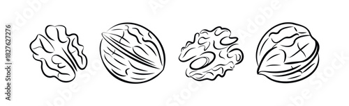 Simple line drawings of four different nut halves, presented in a linear composition suitable for foodrelated projects or graphic accents