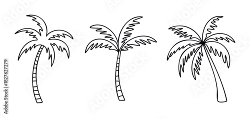 Three stylized black and white line drawings of palm trees for tropical vacation themes and summer design projects