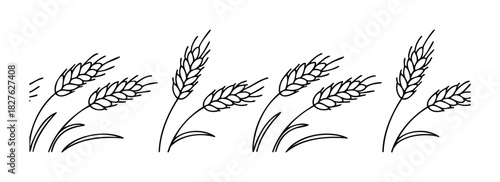 Simple line art depiction of wheat stalks perfect for agricultural themes and food related projects, adding a natural and organic feel to your graphic needs.