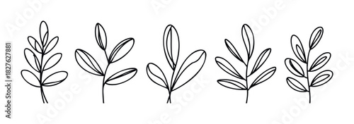 Five minimalist line drawings of botanical branches with leaves, perfect for adding a touch of nature to organic branding, wellness products, or seasonal decor projects.