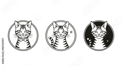 Set of three cute cat portraits in circular frames with differen