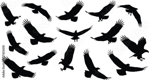 Silhouette of a flock of eagles flying in different directions