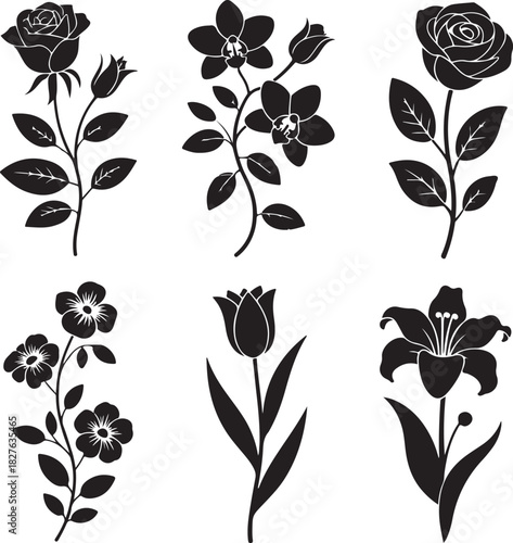  Elegant Collection of Black and White Flower Silhouettes for Creative Projects.