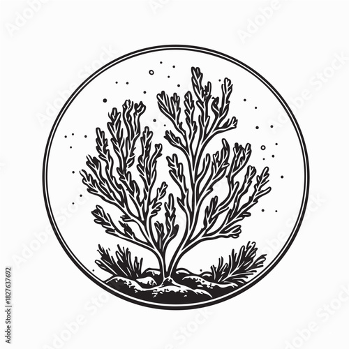 Coral Ocean Plants Image Vector Isolated On White Background