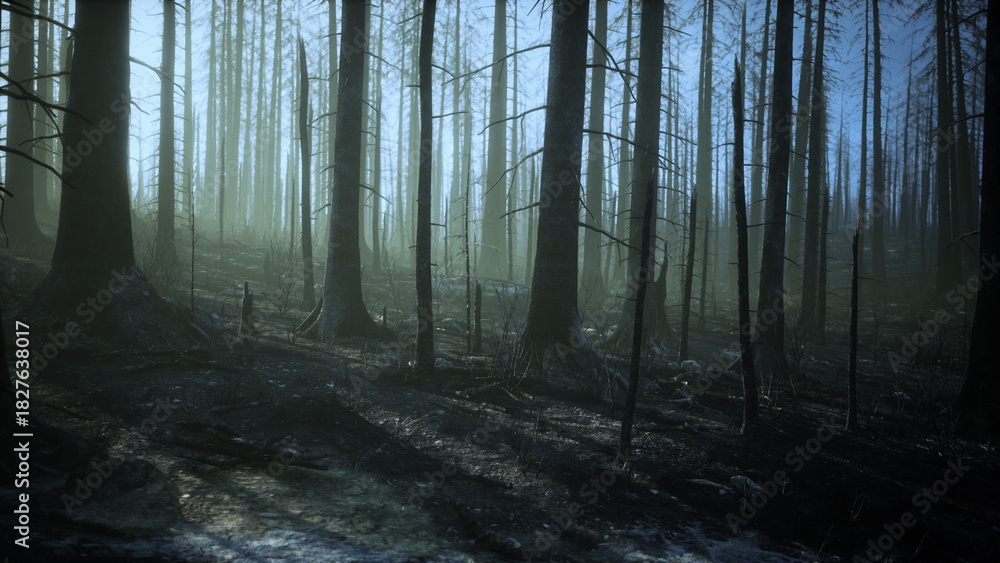 Fototapeta premium Charred trees stand tall in a once thriving forest, as sunlight filters through the haze. The scene captures the stark beauty of natures resilience after devastation.