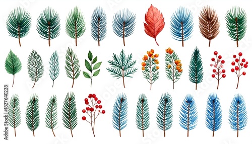 Watercolor botanical illustrations of foliage leaves, branches, berries, and needles