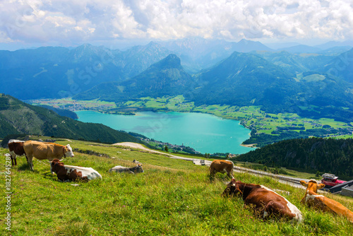 Panoramic Aerial View from Schafberg Mountain Summit in the Austrian Alps