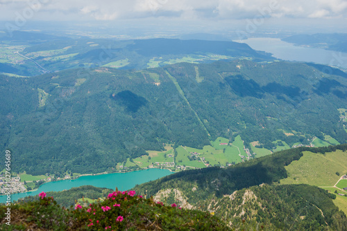 Panoramic Aerial View from Schafberg Mountain Summit in the Austrian Alps
