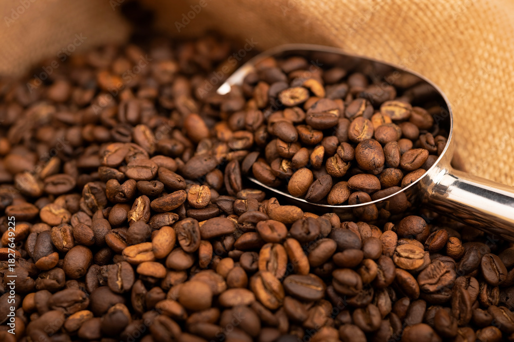 Fototapeta premium Roasted coffee beans with bag and scoop , Can be used as a background