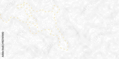 Abstract pattern with lines seamless pattern and topography map and counter map. abstract sea map area space geometric line technology topo landscape grid map texture.	