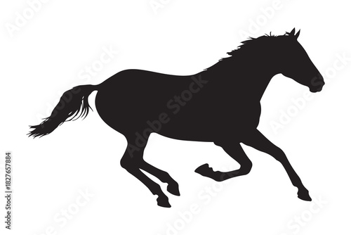  Dynamic black silhouette of a horse galloping across a white background silhouette