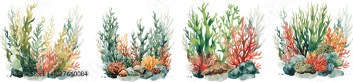 watercolor seaweed and corals set isolated on white