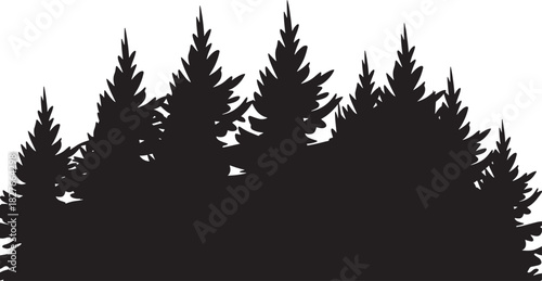 Silhouette of a dense forest of pine trees on a white background evergreen nature