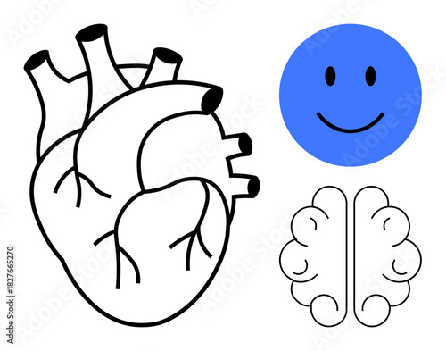 Health concept. Connection between the human heart brain and a smiling face health and emotional balance. Heart and brain health focus on wellbeing. For mental health medicine wellness