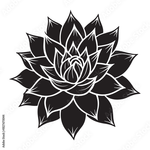 Cactus flower bloom vector icon