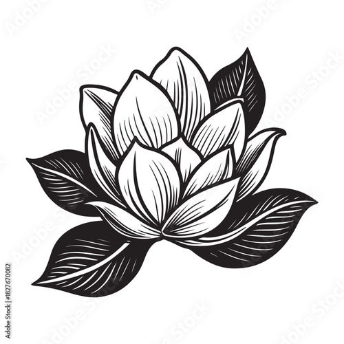Elegant magnolia flower silhouette vector