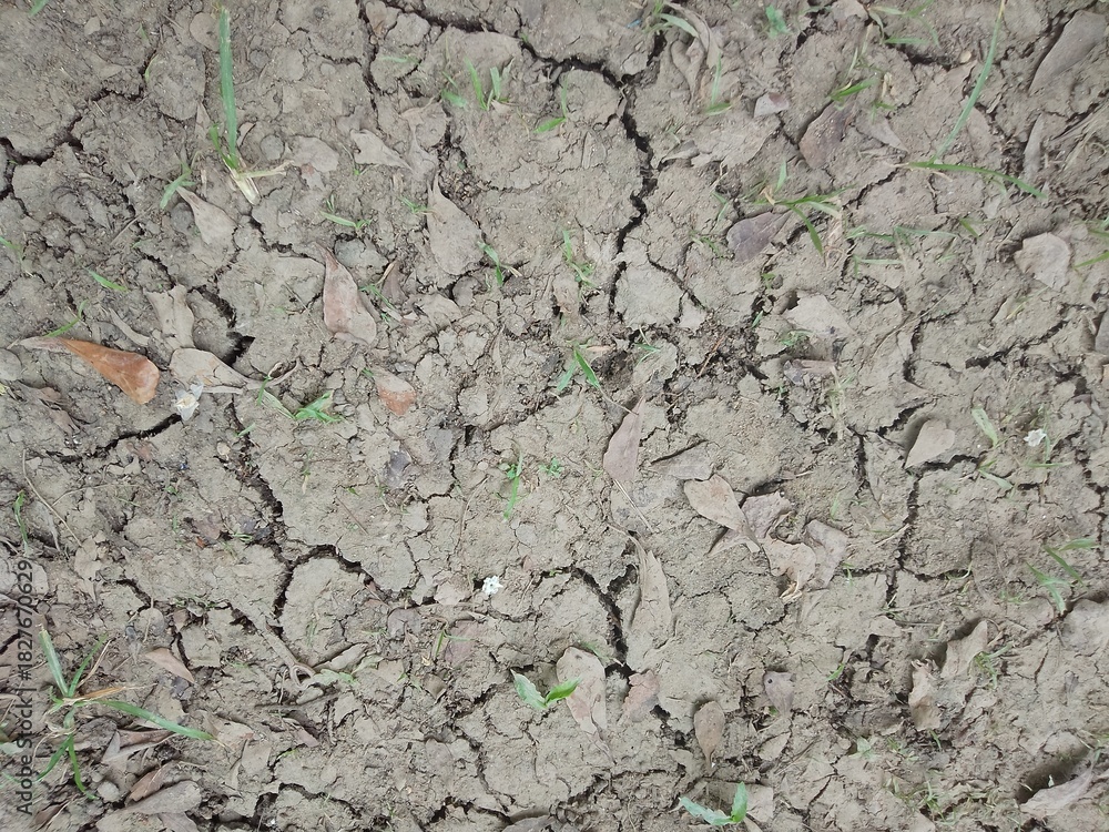 Fototapeta premium Dry Ground in Indonesia