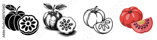 acerola fruit vector illustration set with silhouette, engraved, outline and color symbols