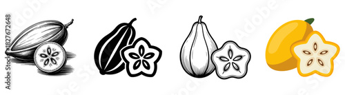babaco fruit vector illustration set with engraved, silhouette, outline and color symbols