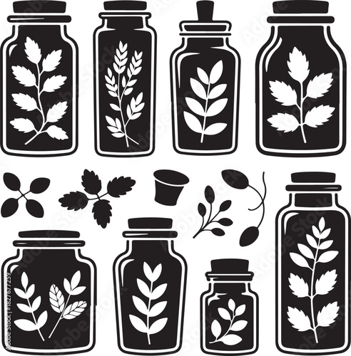Collection of botanical specimens in vintage apothecary jars black and white style